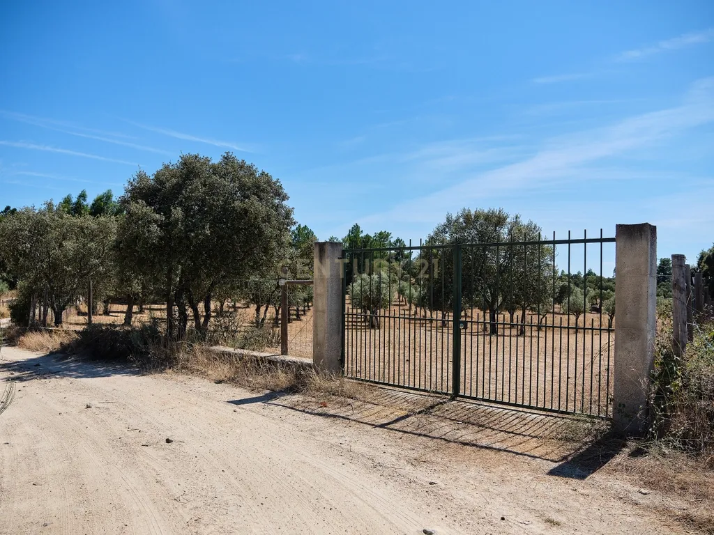 Terreno rústico com 4,5 hectares em Martianas – Orca - Fundão - Image 2