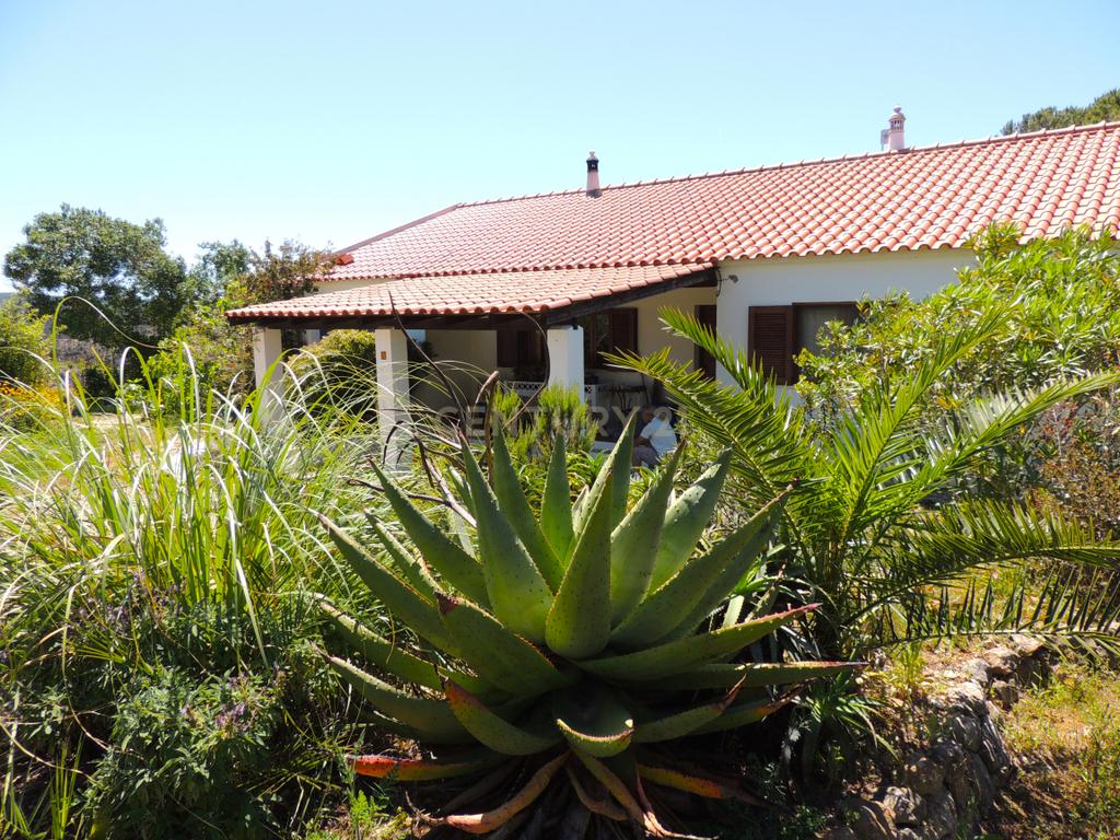 Quinta perto do Mar e de Aljezur, T3 mais uma ruina, com grande potential em Aljezur-Algarve - Image 33