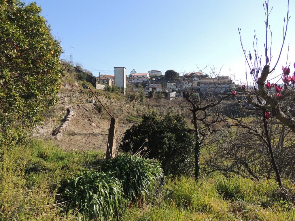 Quinta em Castelo de Paiva - Image 12