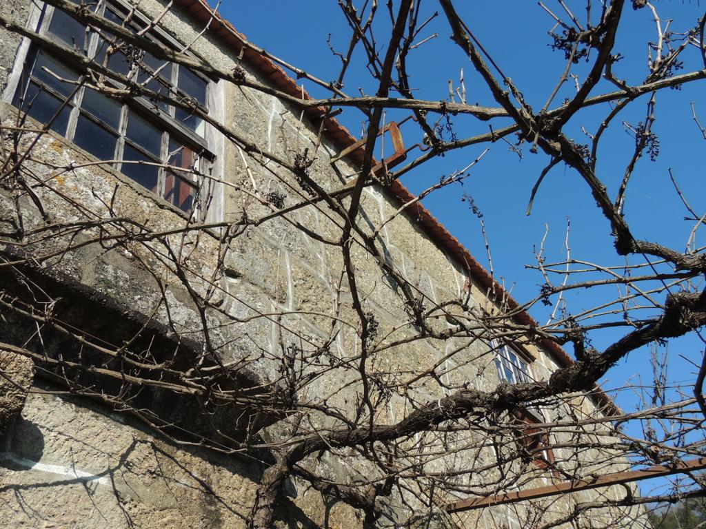 Quinta em Castelo de Paiva - Image 13