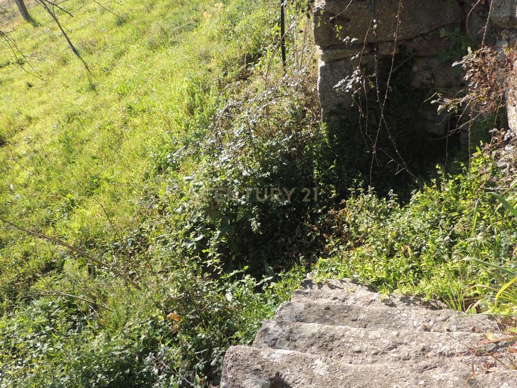 Quinta em Castelo de Paiva - Image 52