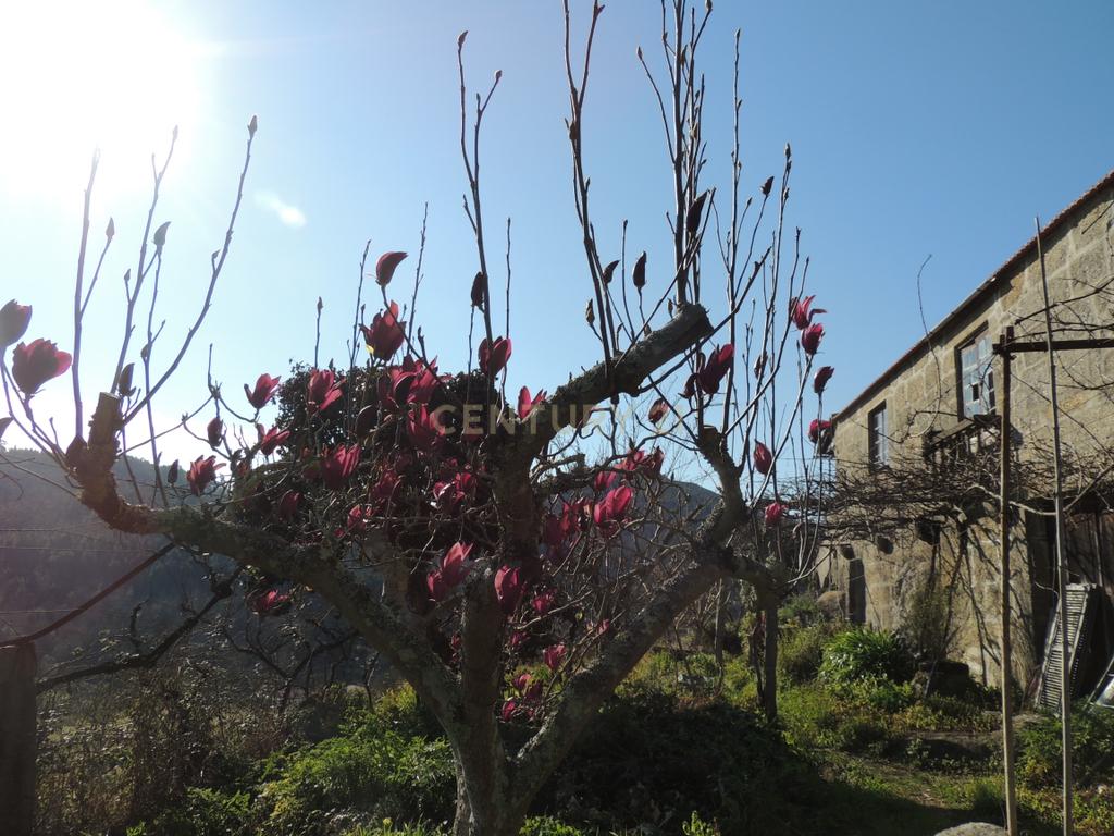 Quinta em Castelo de Paiva - Image 55
