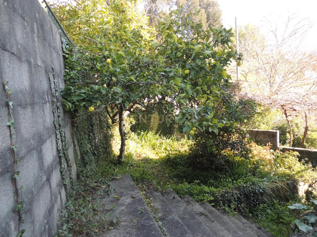 Quinta em Castelo de Paiva - Image 53