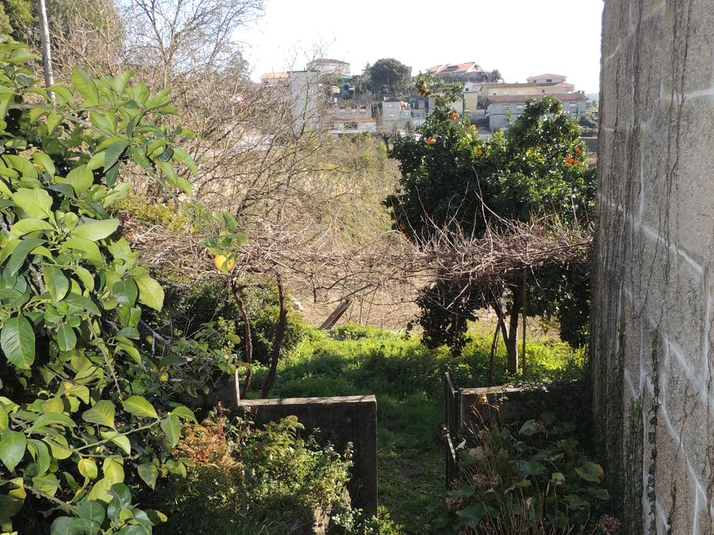 Quinta em Castelo de Paiva - Image 8