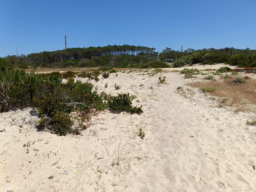 Reservado - Casa de Praia com vista lateral para o mar, com 2 garagens box, logradouro de boas dimensões, 3 quartos, a uma curta distância da praia paradisíaca de Vale Furado - Image 45