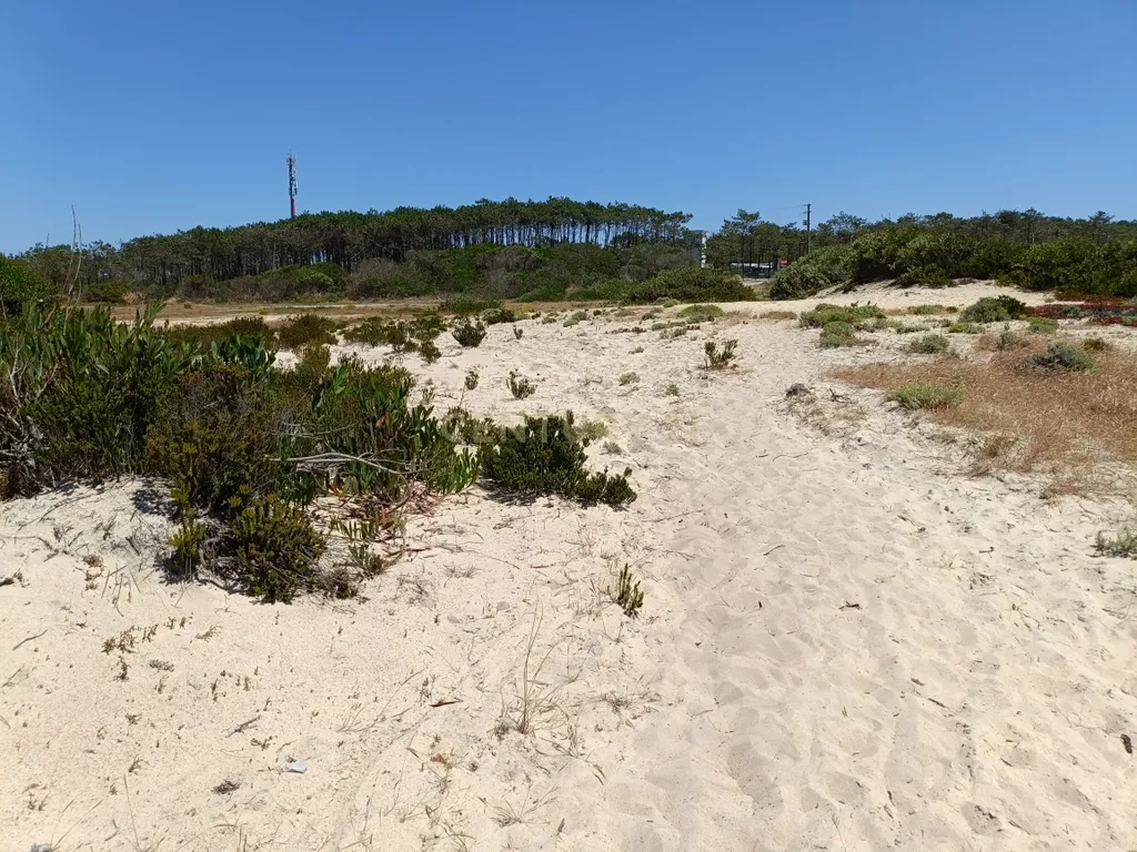 Reservado - Casa de Praia com vista lateral para o mar, com 2 garagens box, logradouro de boas dimensões, 3 quartos, a uma curta distância da praia paradisíaca de Vale Furado - Image 45