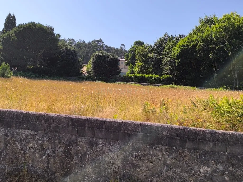Terreno com Vista Montanha em Esposende - 3765m² - Image 3