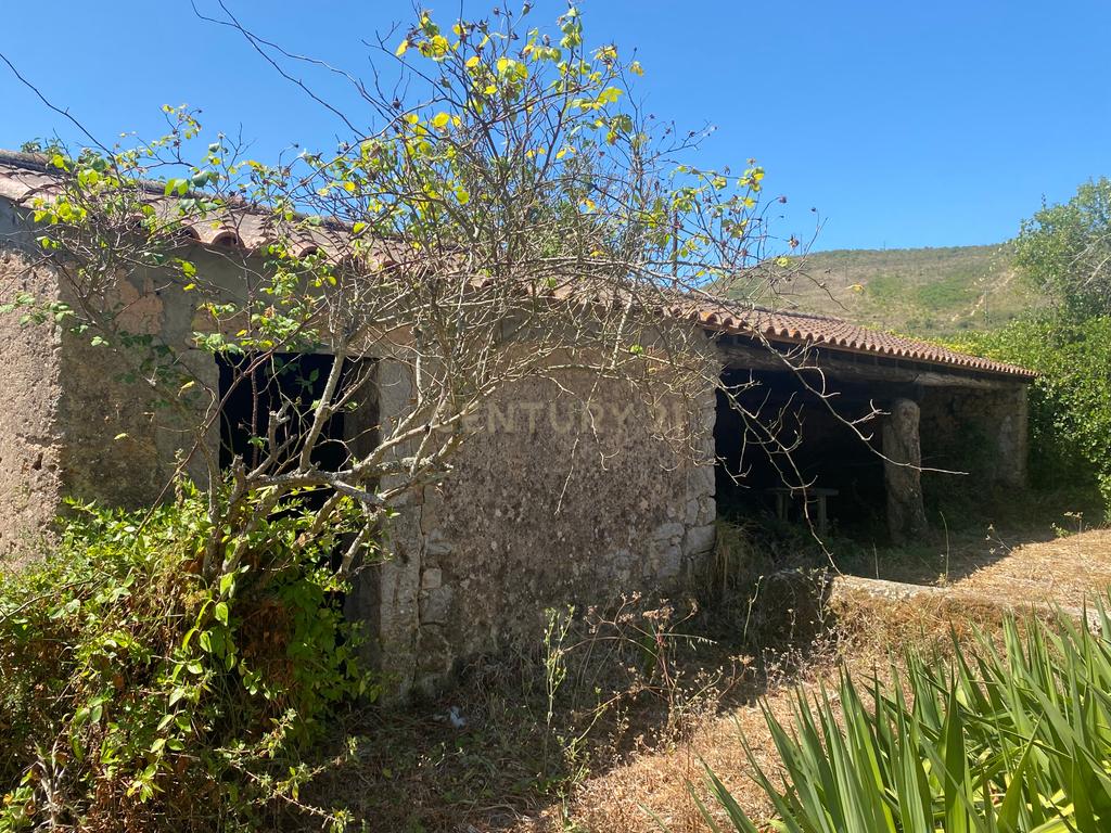 Casas Senhoriais Início Sec XIX + Terreno 4100m2 | 20 minutos de Coimbra - Image 38
