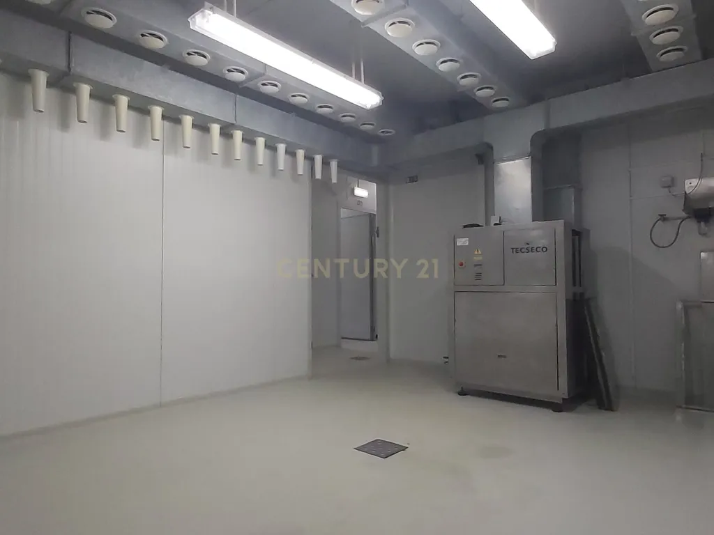 🚀 Expanda o Seu Negócio com Este Pavilhão Pronto a Produzir** Beja, Serpa  - Image 11