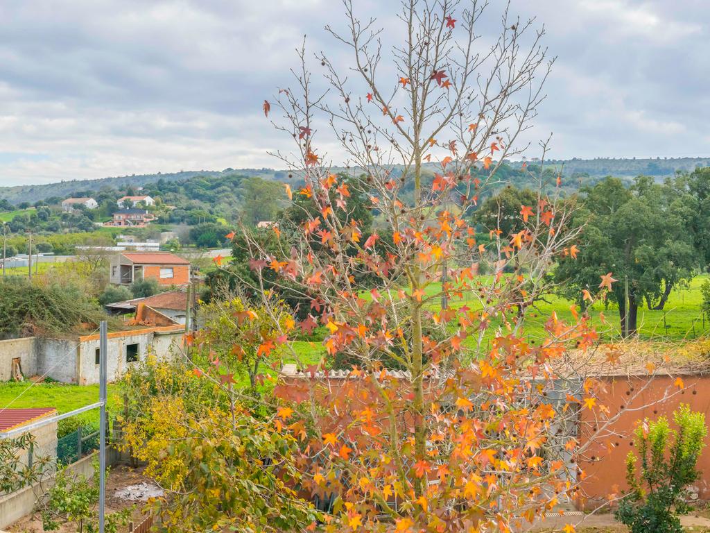 Moradia T5 Isolada, com Dois Pisos, Elevador e Terraço, com 800m2 de Terreno , na Quinta do Anjo, Palmela - Image 22