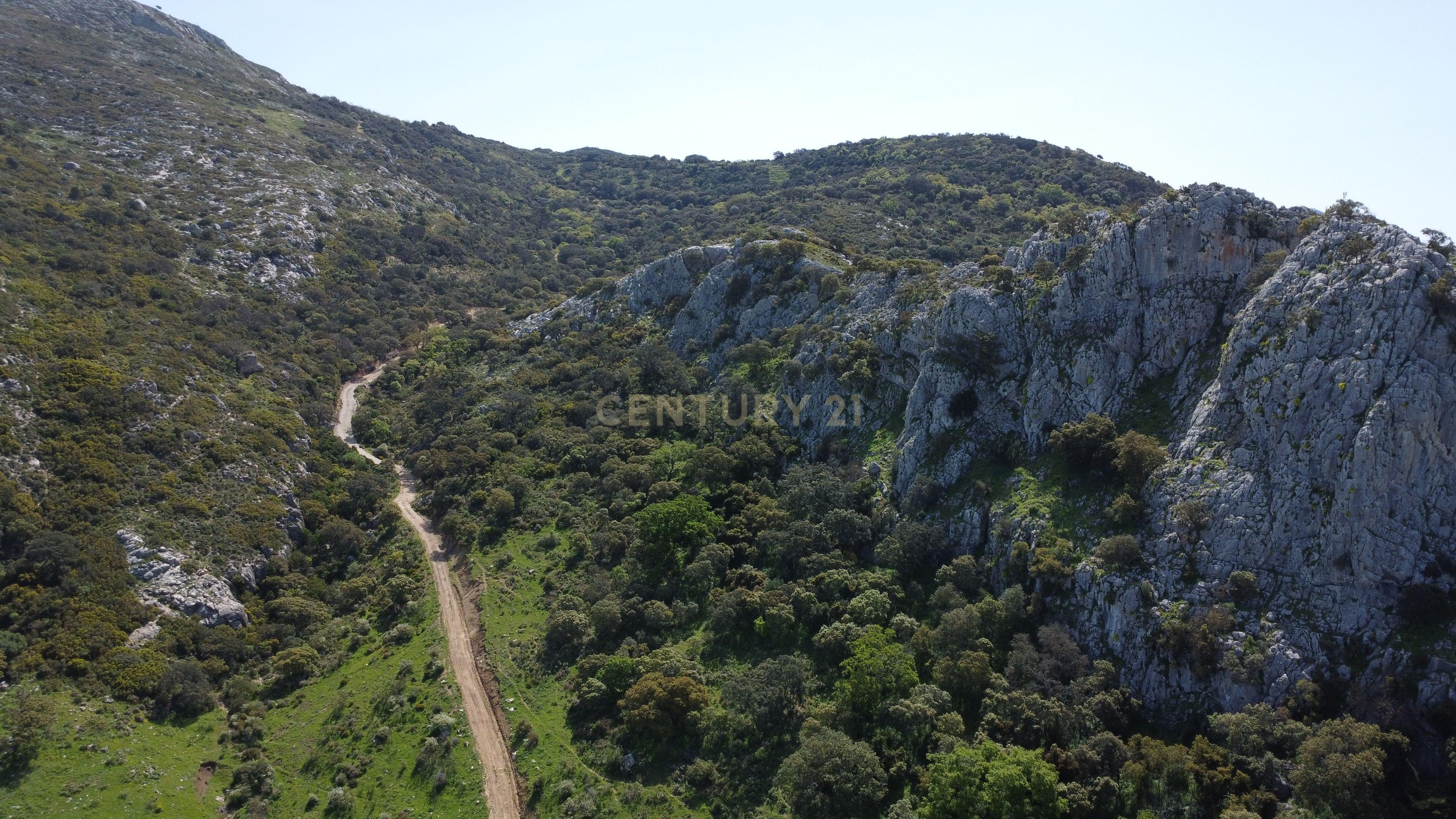 VENDA DE PROPRIEDADE RÚSTICA EM ANTEQUERA COM EXPLORAÇÃO DE AGROTURISMO - Image 105