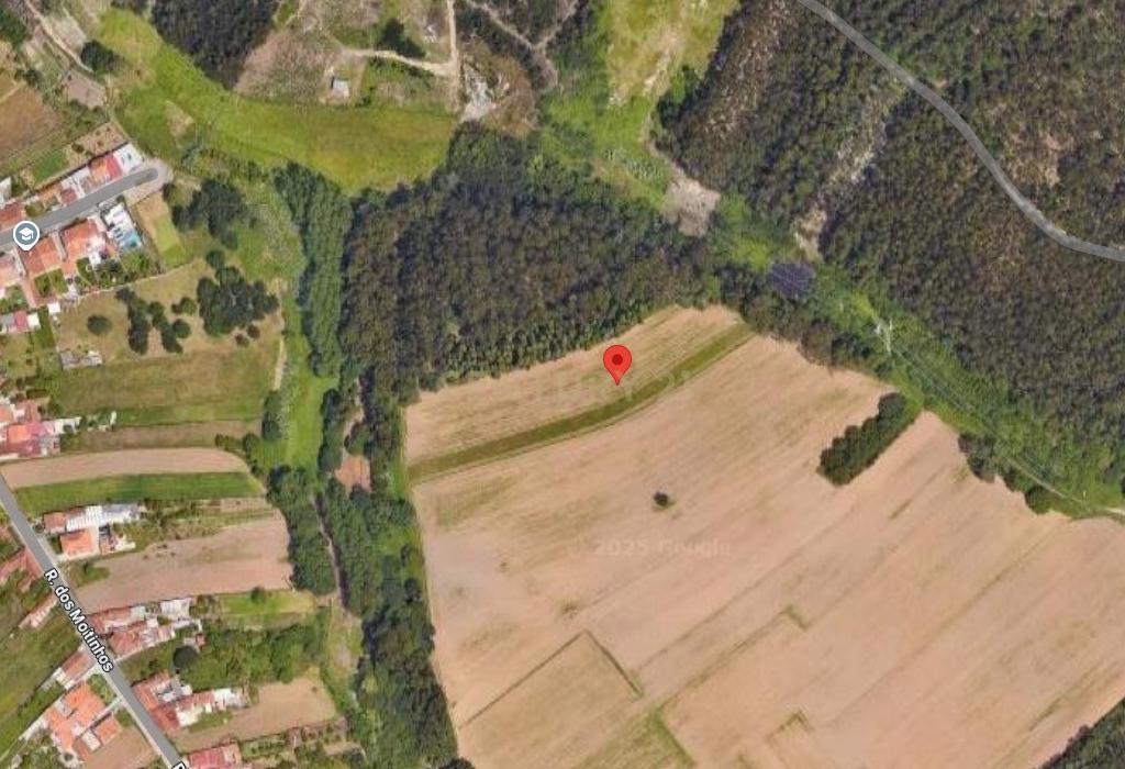 Terreno Agrícola em Ílhavo com Vista Campestre - Image 2