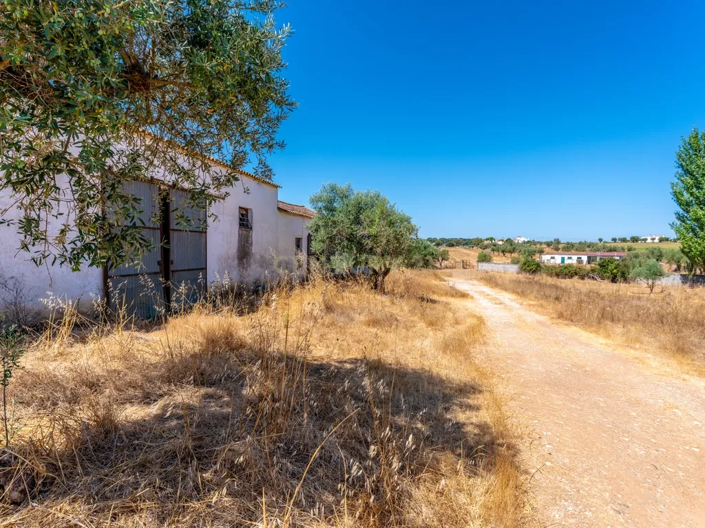 Propriedade, em Prédio Misto, com 17.000m2 localizada a 5Km de Estremoz - Image 14