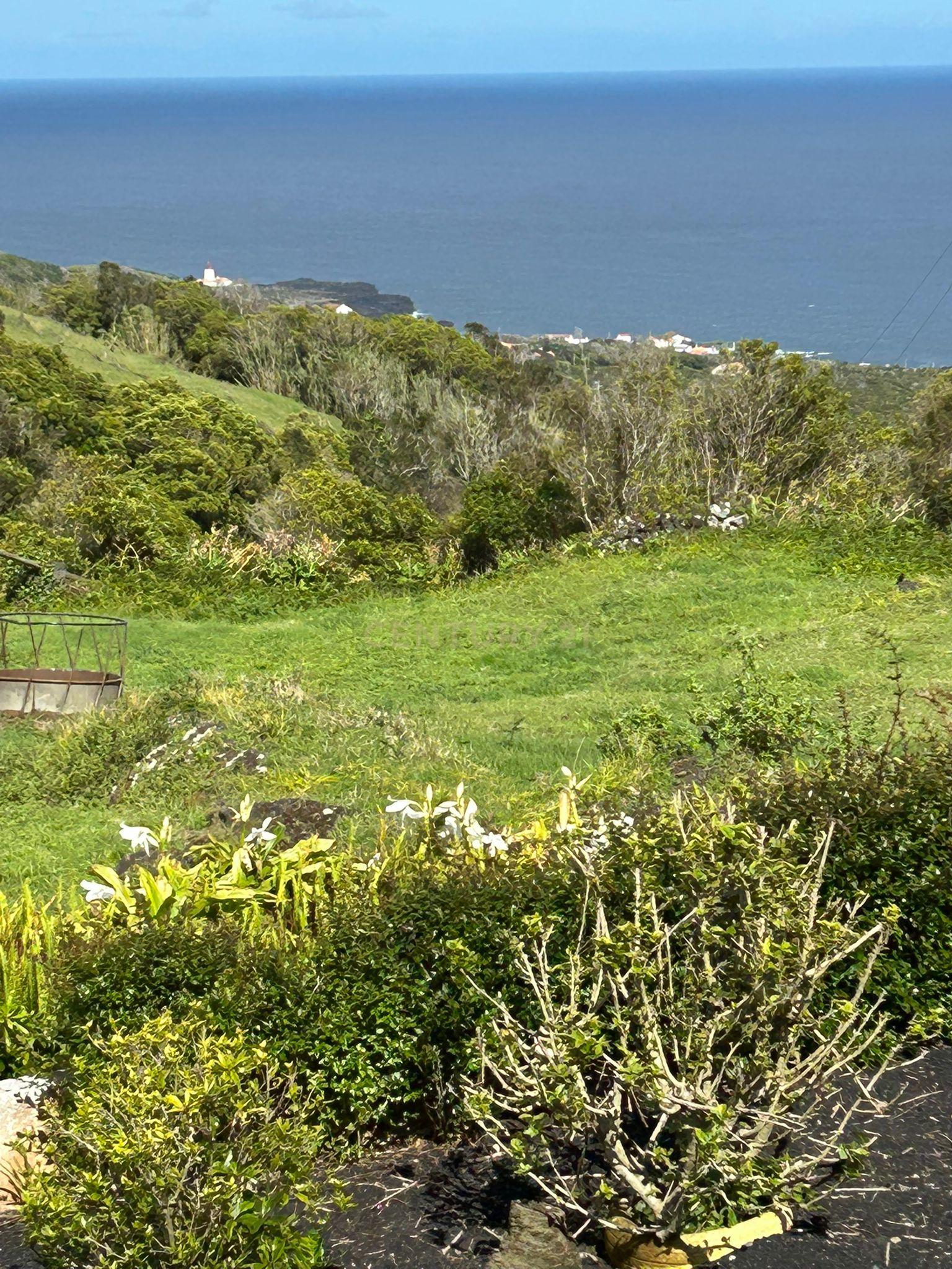Moradia T3 à venda em Piedade, Lajes do Pico — foto 23