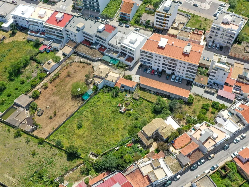 TERRENO EM CAMPINA GRANDE LOULÉ- URBANO E RÚSTICO - Image 8
