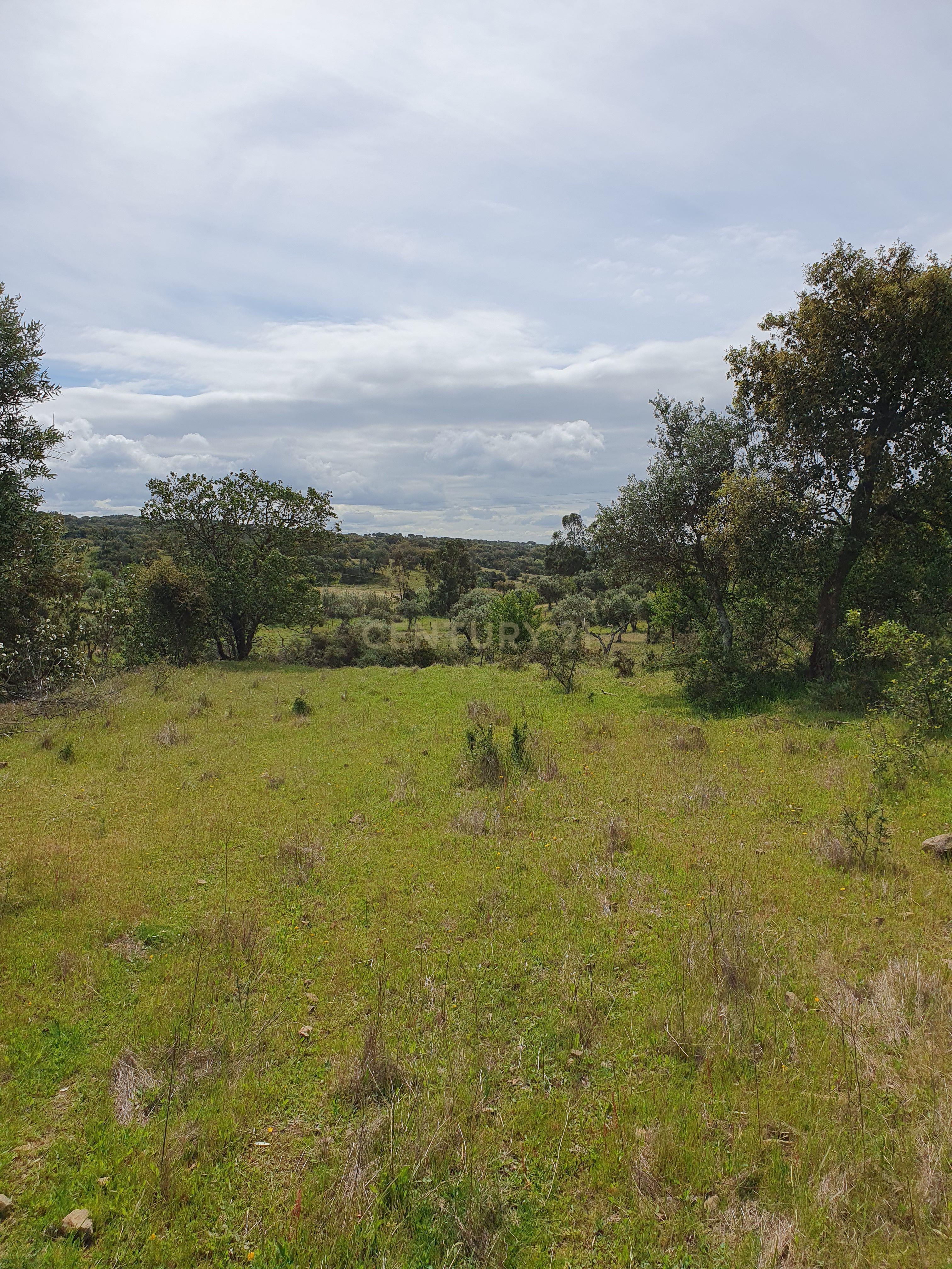 Fotografia 5 de Terreno Urbano na Serra D`Ossa Redondo