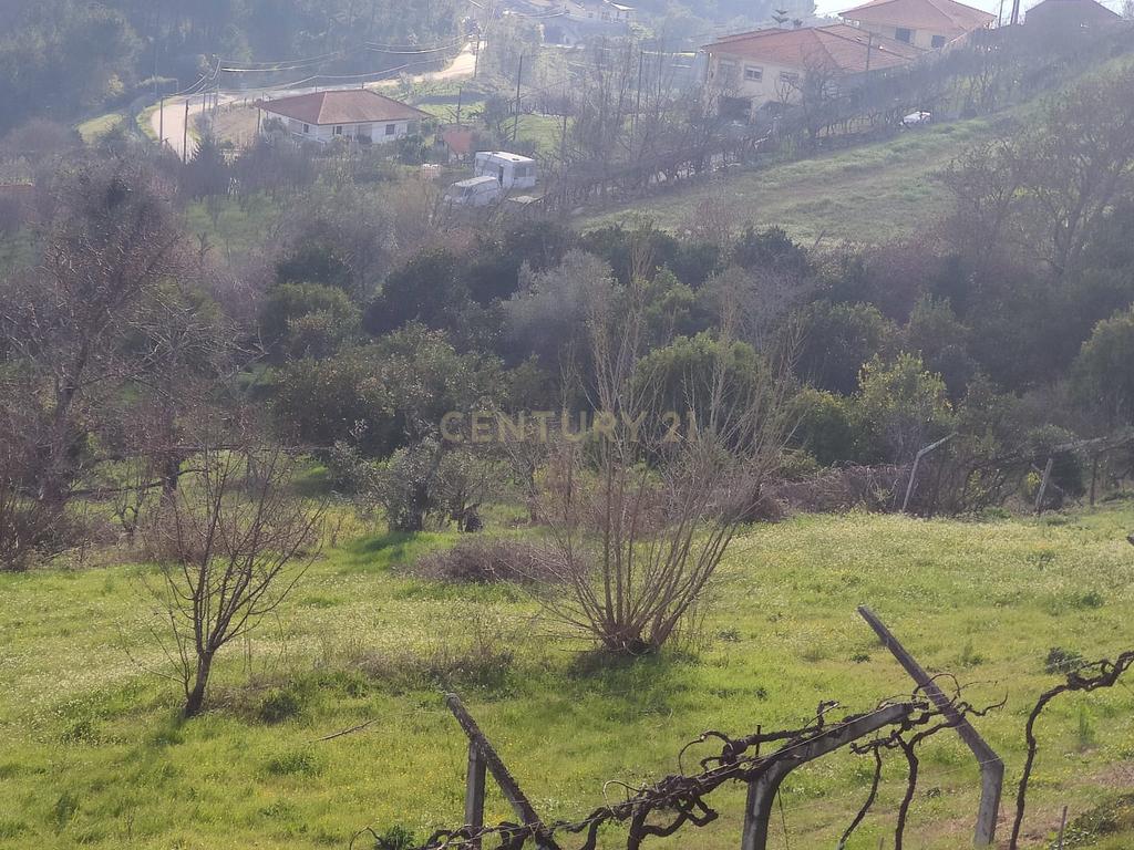Terreno com casinha e vista para o rio Douro, em S. Tomé de Covelas, Baião para projeto agrícola - Image 81