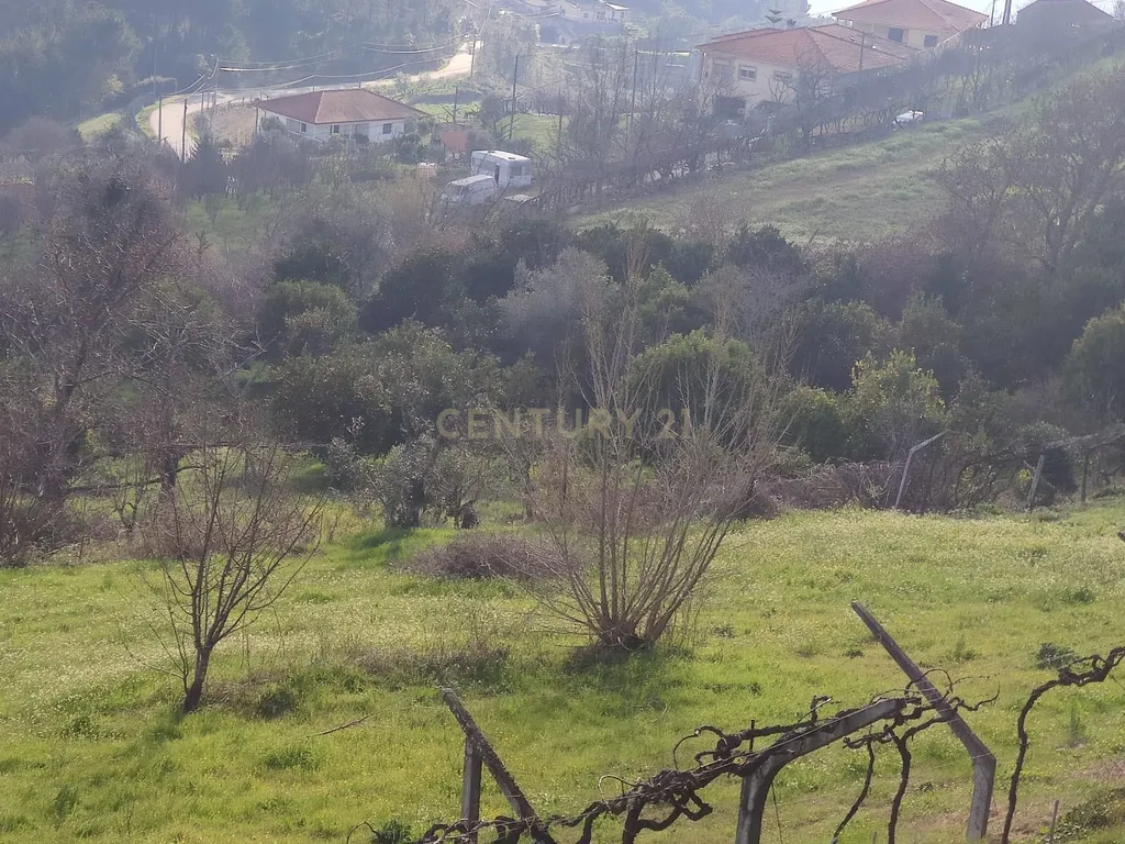 Terreno com casinha e vista para o rio Douro, em S. Tomé de Covelas, Baião para projeto agrícola - Image 81