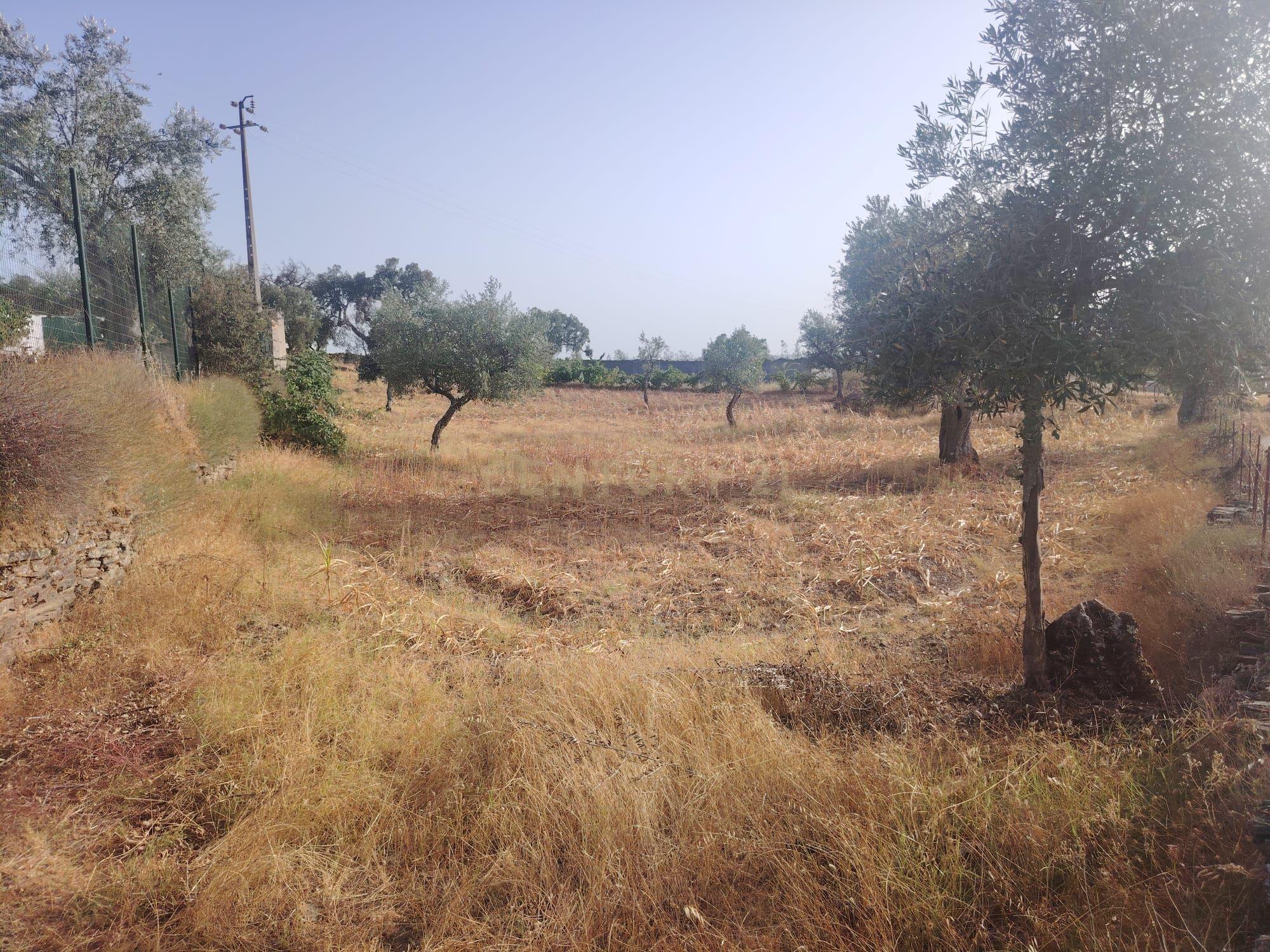 Fotografia 12 de OPORTUNIDADE DE INVESTIMENTO | TERRENO RÚSTICO, AMARELOS
