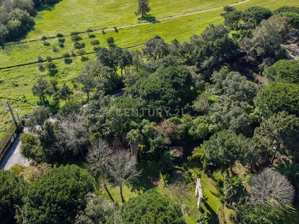 🏡 Terreno para Construção – 2.746 m² | Oportunidade Única Perto de Setúbal! 🌿 - Image 48