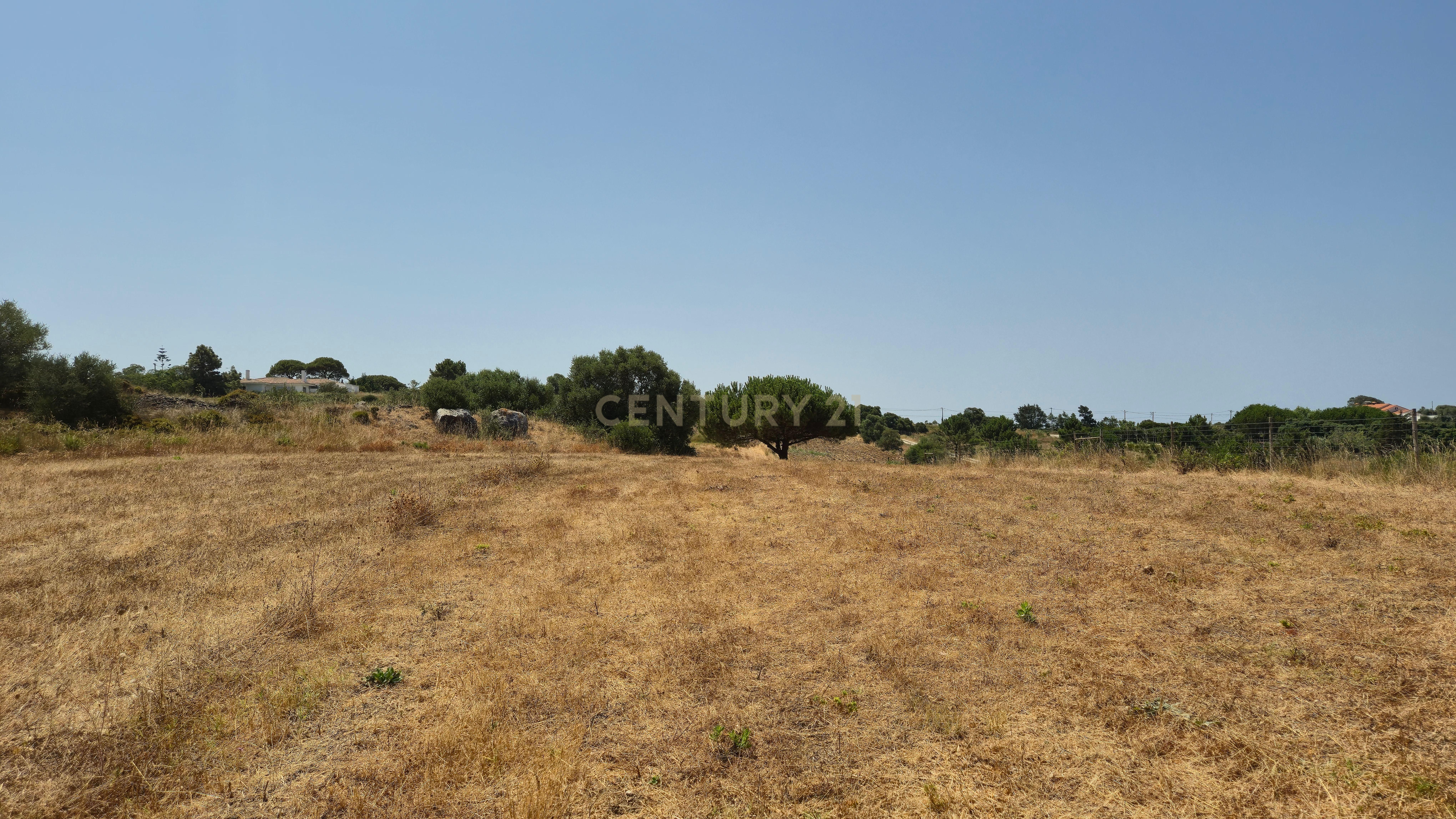 Fotografia 12 de Terreno com Vista Mar e Lisboa na Azoia (15.700 m²) | PIP Aprovado para Moradia + Cave