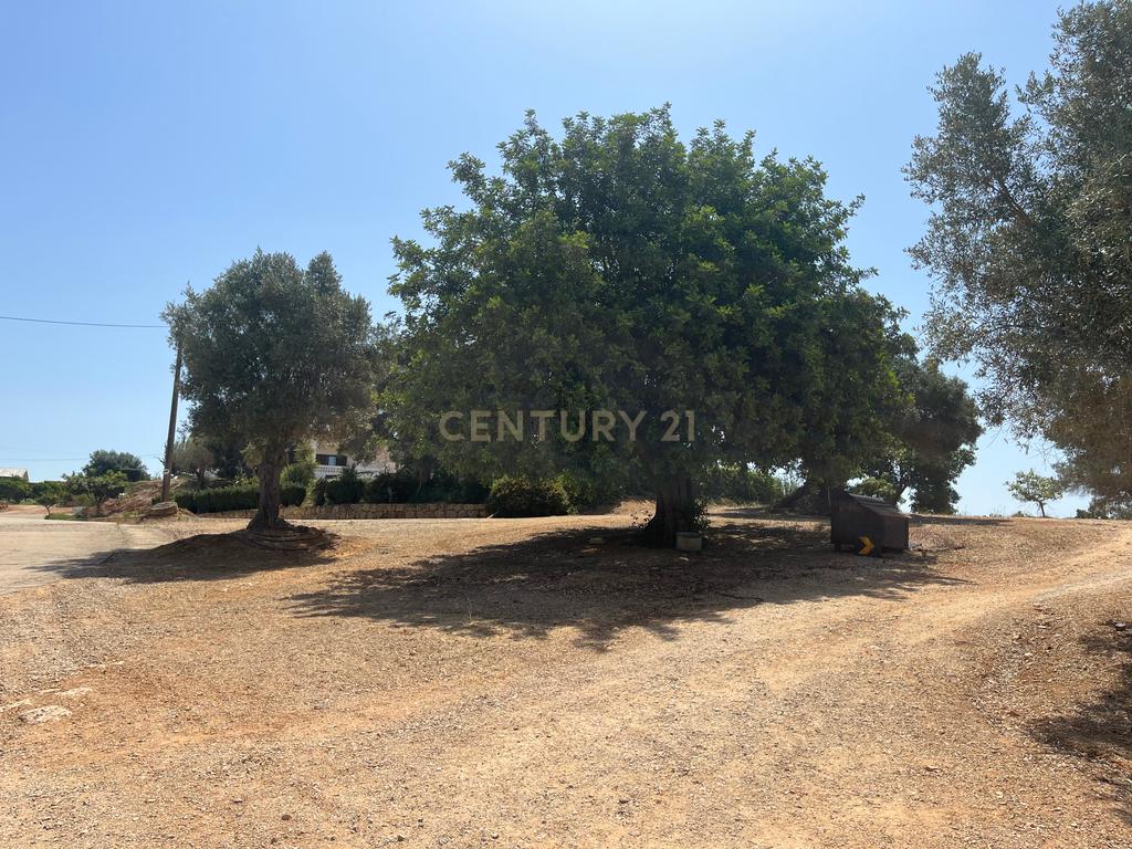 Quinta com 208.790m2, em Plena produção de Citrinos, e estufas, com elevado rendimento. Grande Potencial para projetos com fundos Europeus, e Turismo Rural. - Image 19