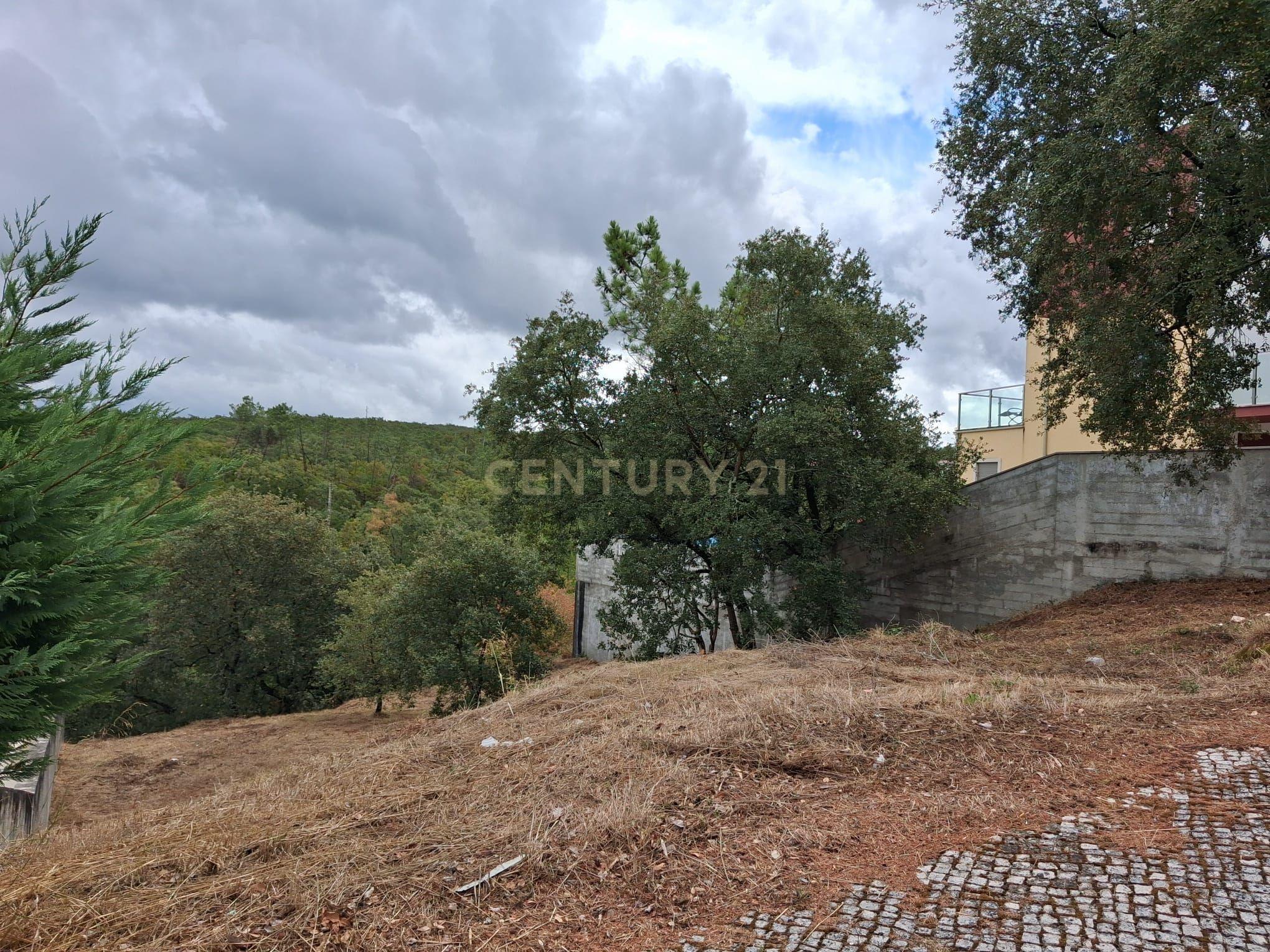 Fotografia 2 de Lote em Zona Nobre de Pombal