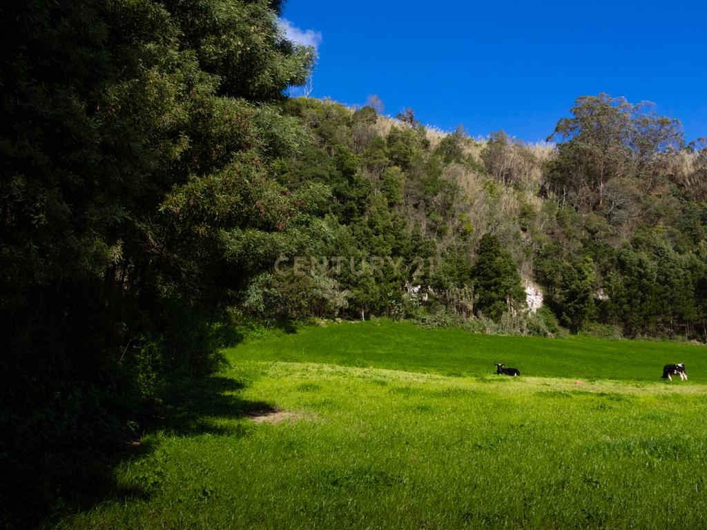 Terreno urbano para construção na Caloura, Lagoa - Vista Mar - Image 28