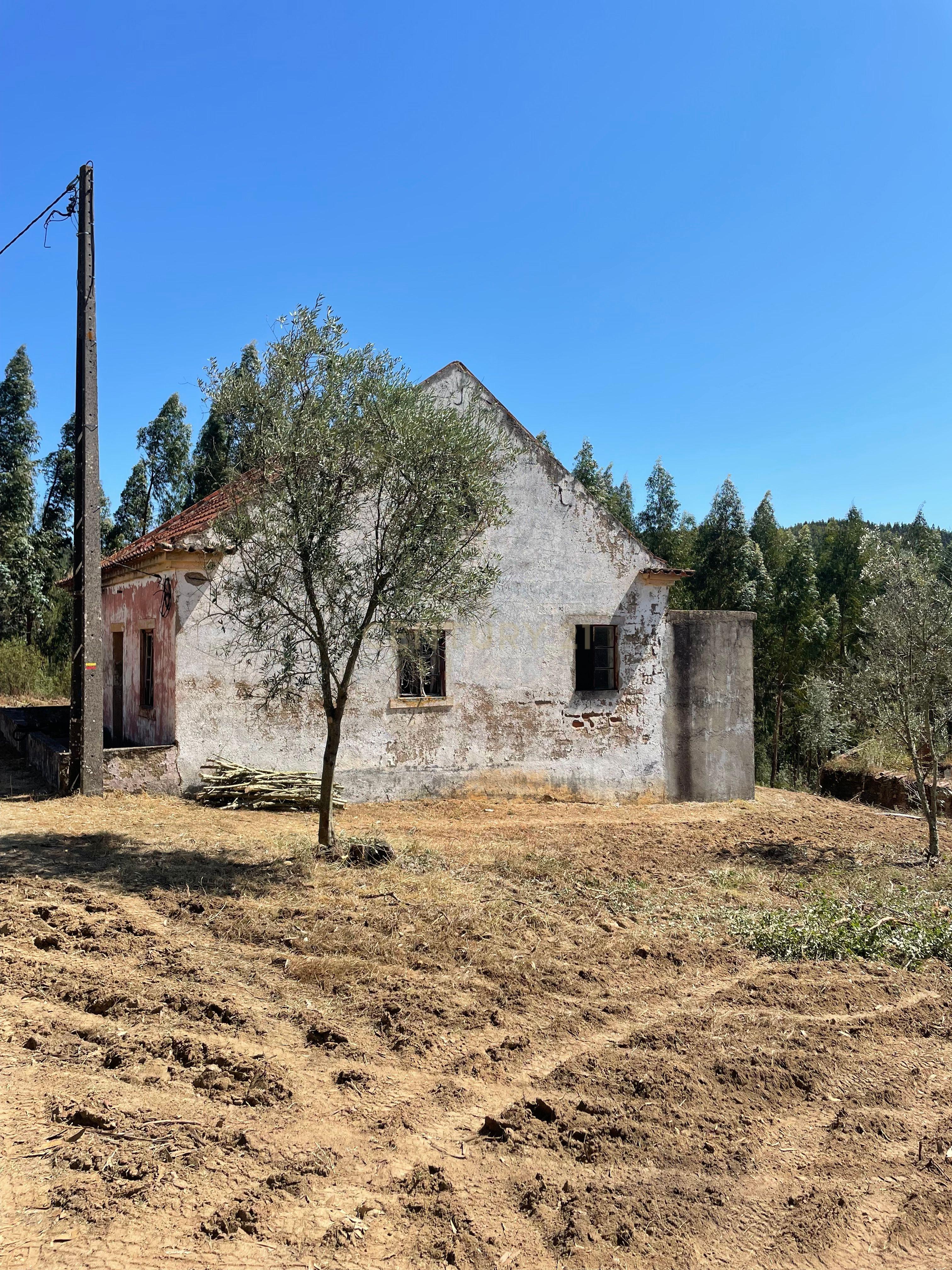 Fotografia 3 de Casa para Recuperar em Vilelas,  Martinchel Abrantes
