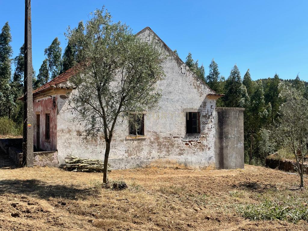 Casa para Recuperar em Vilelas, Martinchel Abrantes - Image 3