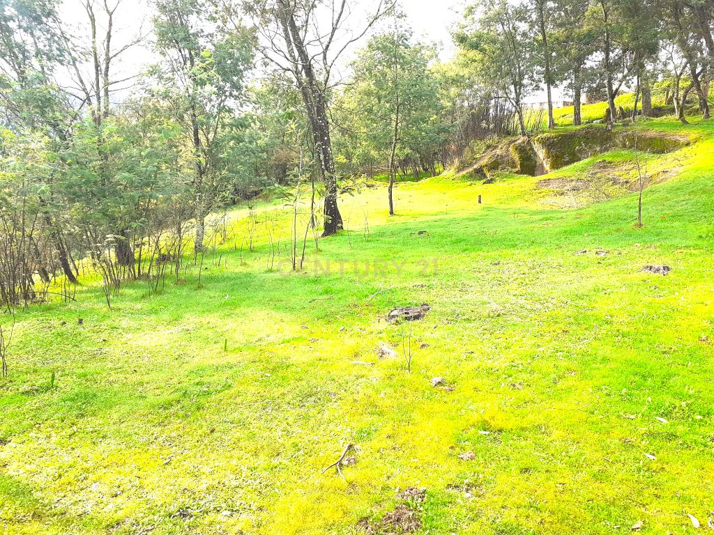 Belíssima ruína em terreno verdejante com vista deslumbrante para o Rio Douro, Baião, Porto - Image 36