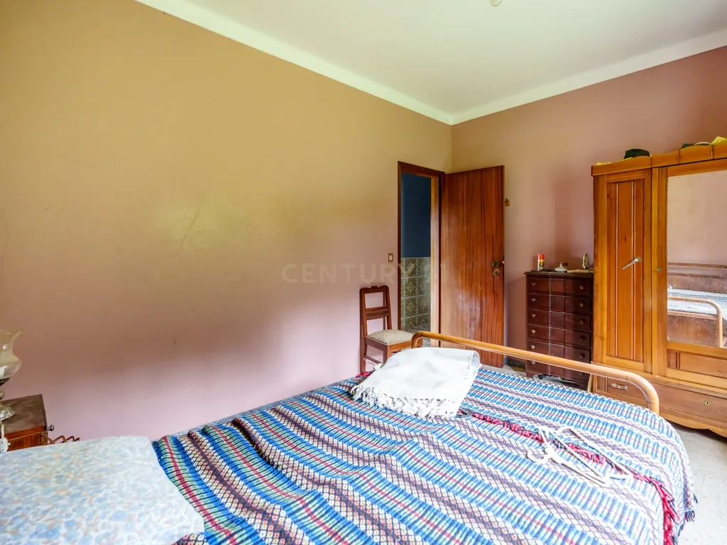 QUINTA COM 2,5 HECTARES EM ZONA CENTRAL DE MONCHIQUE - Image 15