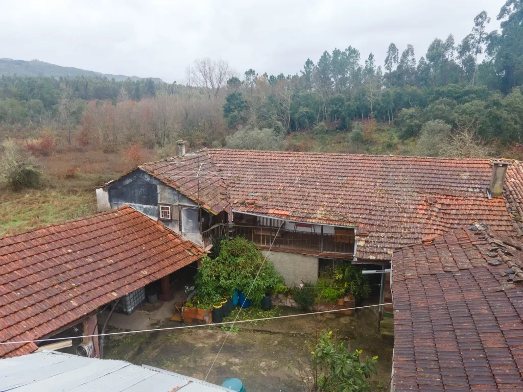 Quinta T5 em Poiares, Vila Nova de Poiares - Oportunidade Única - Image 60