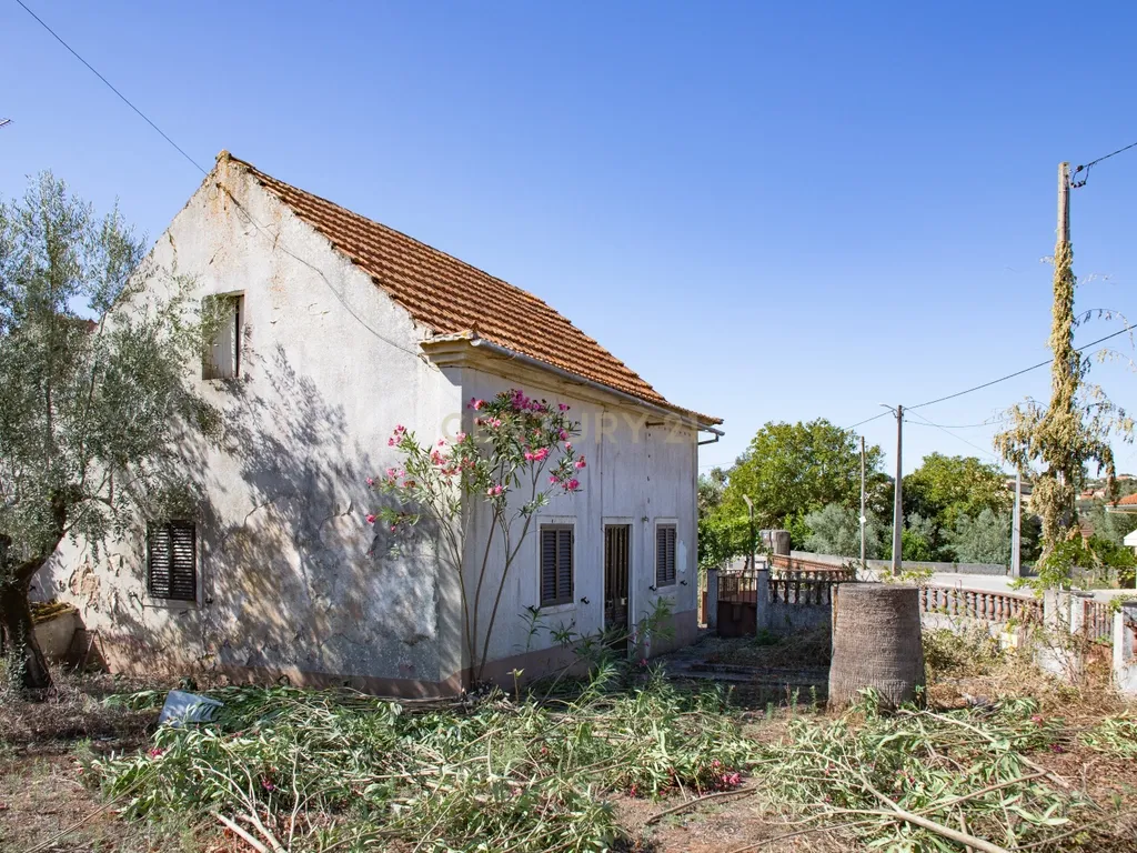 Duas moradias em Avecasta Ferreira do Zêzere - Image 18
