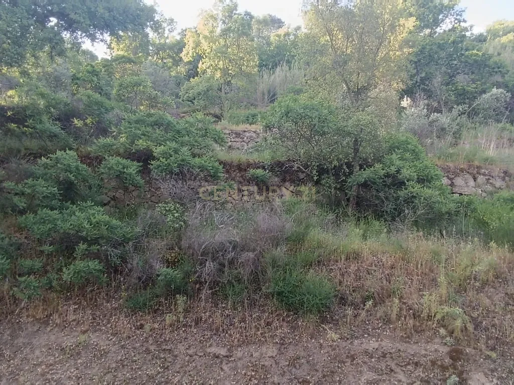 Terreno florestal com vista para a praia fluvial de Porto de Rei em Barqueiros, Mesão Frio às portas do Douro - Image 25
