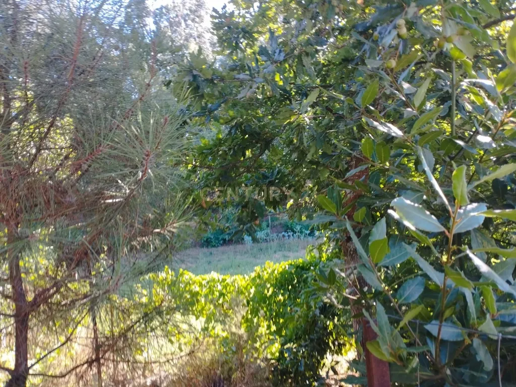 Grande moradia térrea, em Santo Tirso com área de lazer, anexo, jardim e terreno agrícola, Porto - Image 25