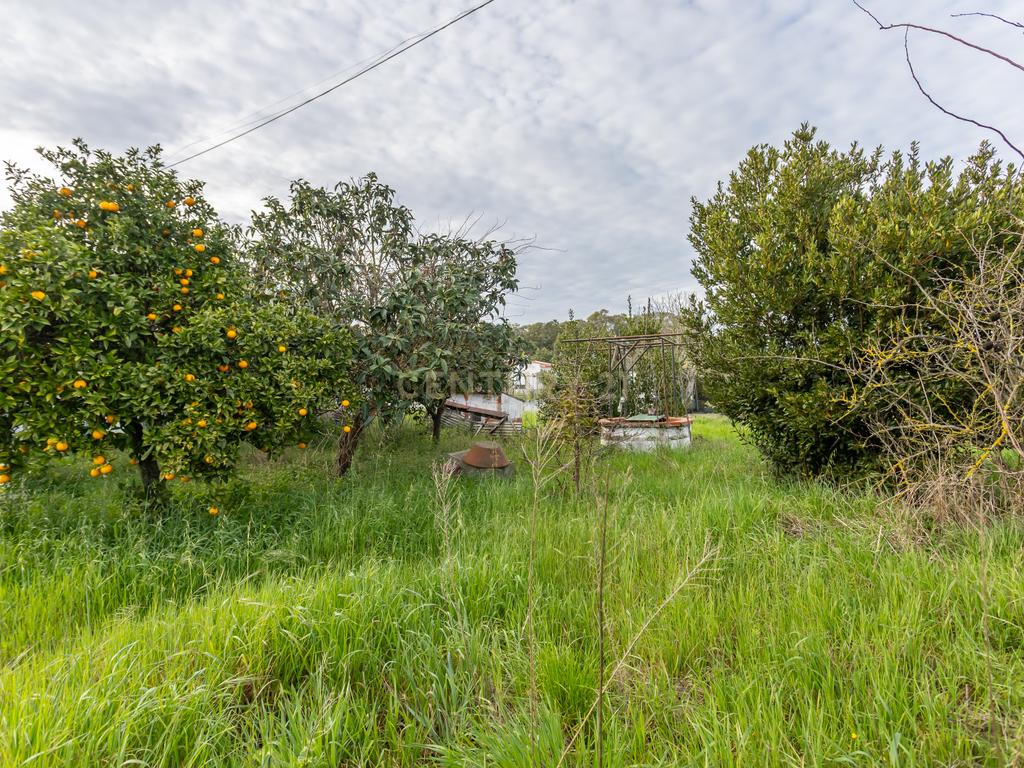 Moradia em Alhos Vedros - Moita  - Image 40