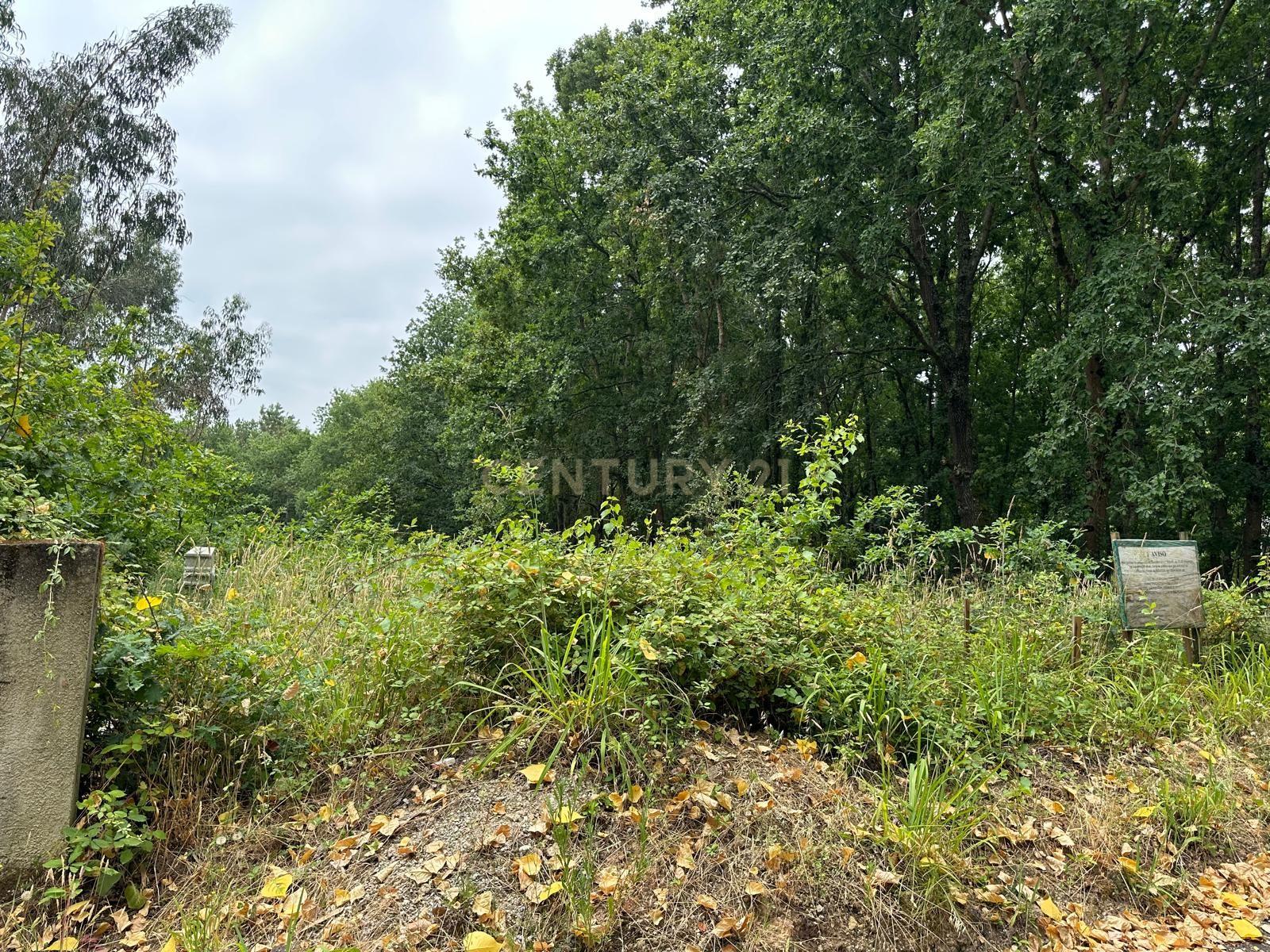 Fotografia 5 de Terreno Urbano com Projeto de Construção Aprovado em Barrô, Águeda - 1018m² para Construção