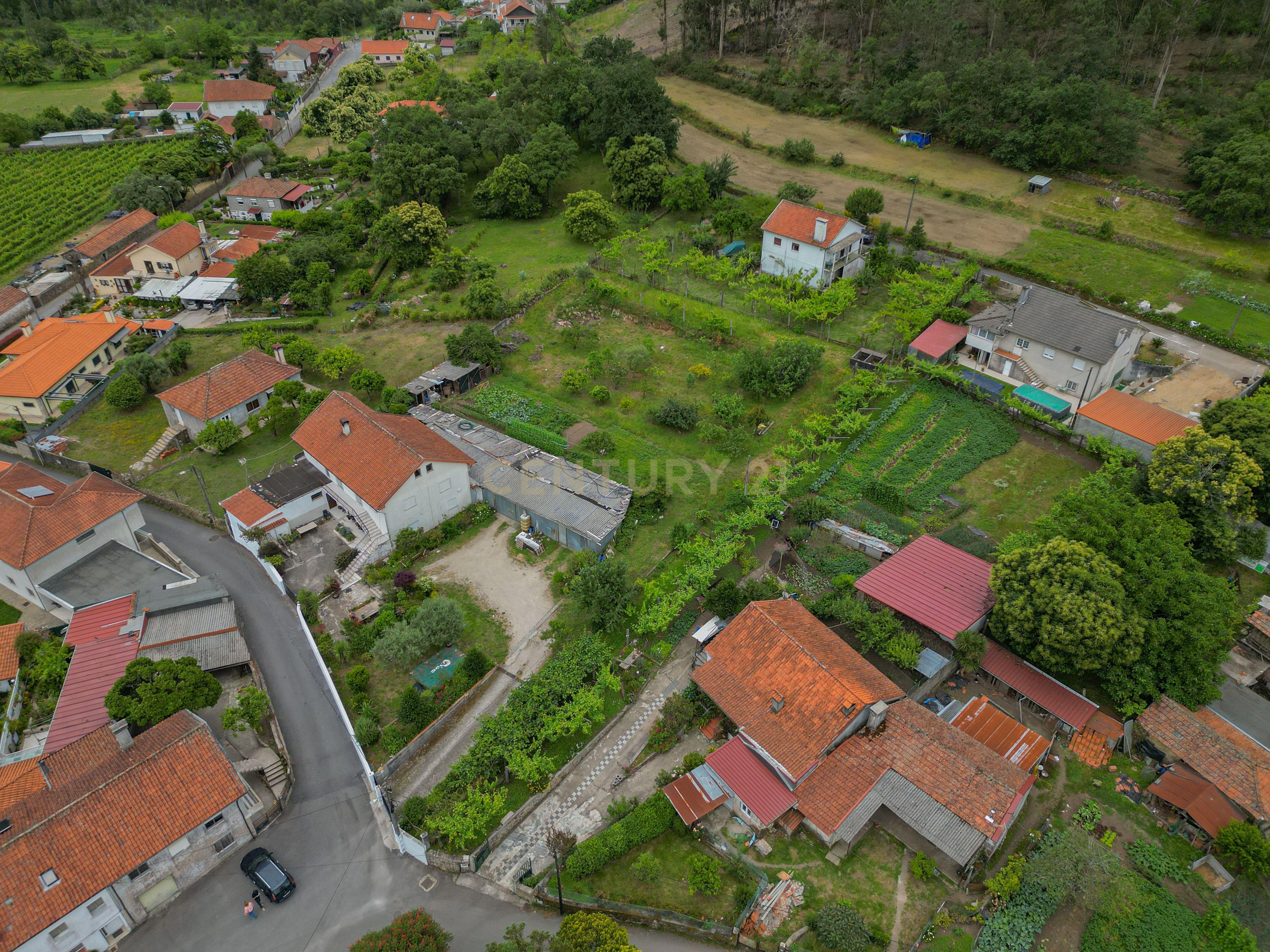 Fotografia 11 de Terreno  para construção em Freixo, Ponte de Lima