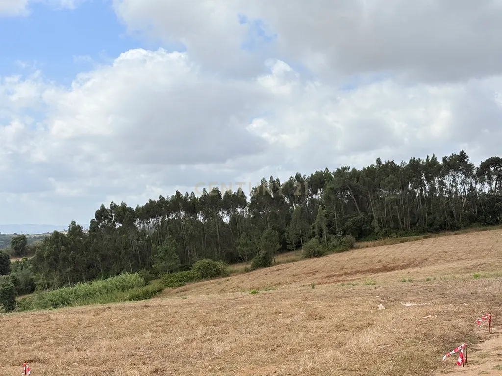 Moradia T4 de térrea à venda em A dos Negros - Óbidos - Image 55