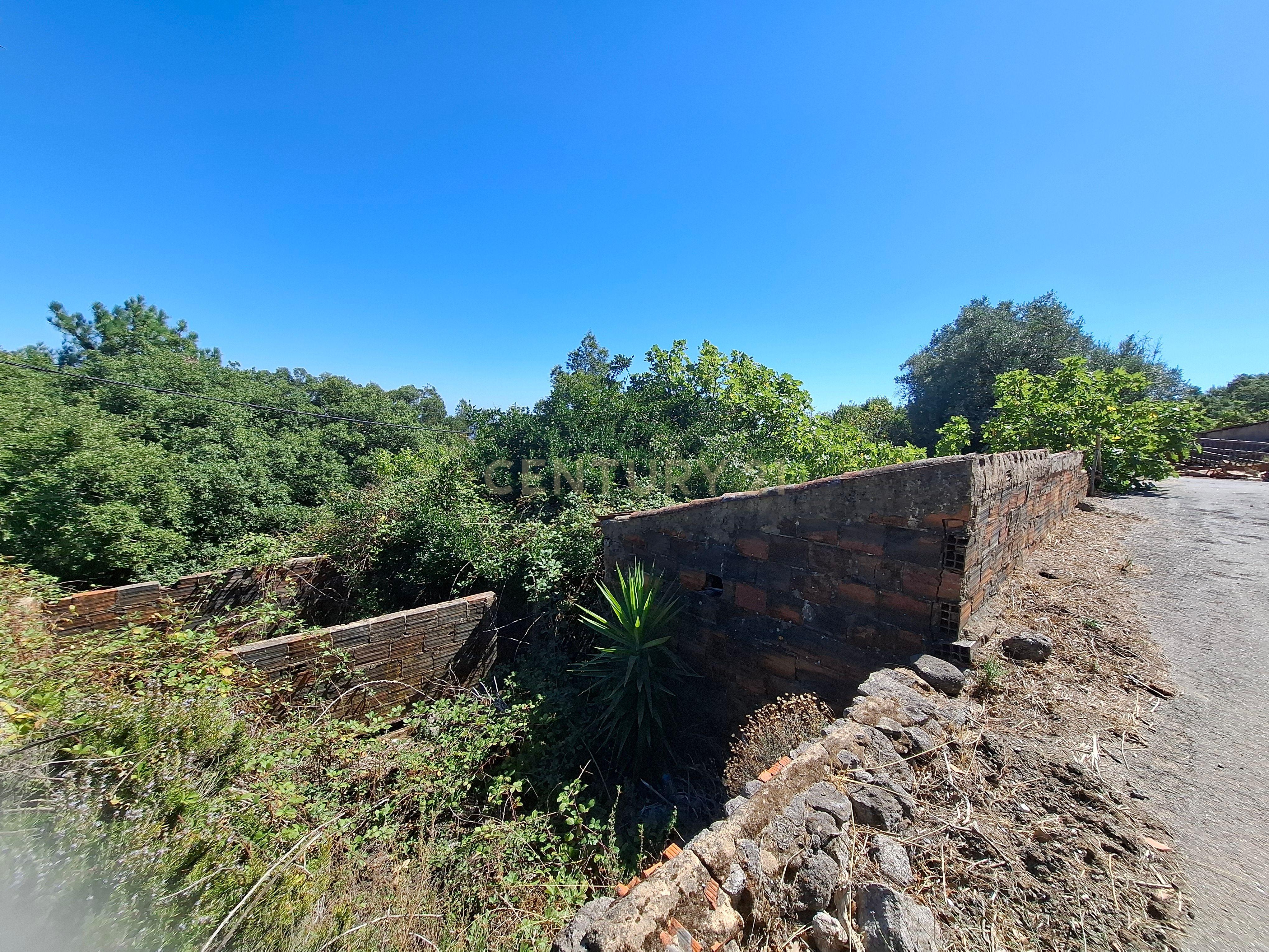 Fotografia 5 de OPORTUNIDADE - REFÚGIO PERFEITO EM MONCHIQUE: QUINTA COM 1,2 HECTARES COM VISTA DESLUMBRANTE PARA SUL E COM UM POTENCIAL UNICO.