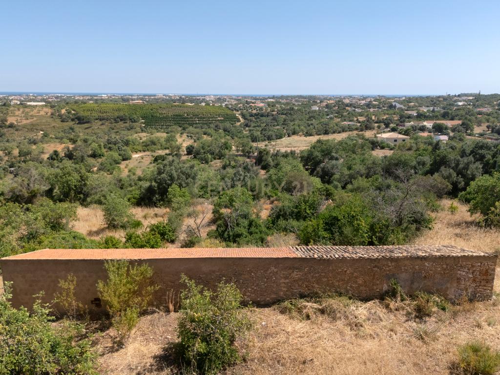 Construir uma Casa de Sonho ou ter um Turismo Rural - Image 3
