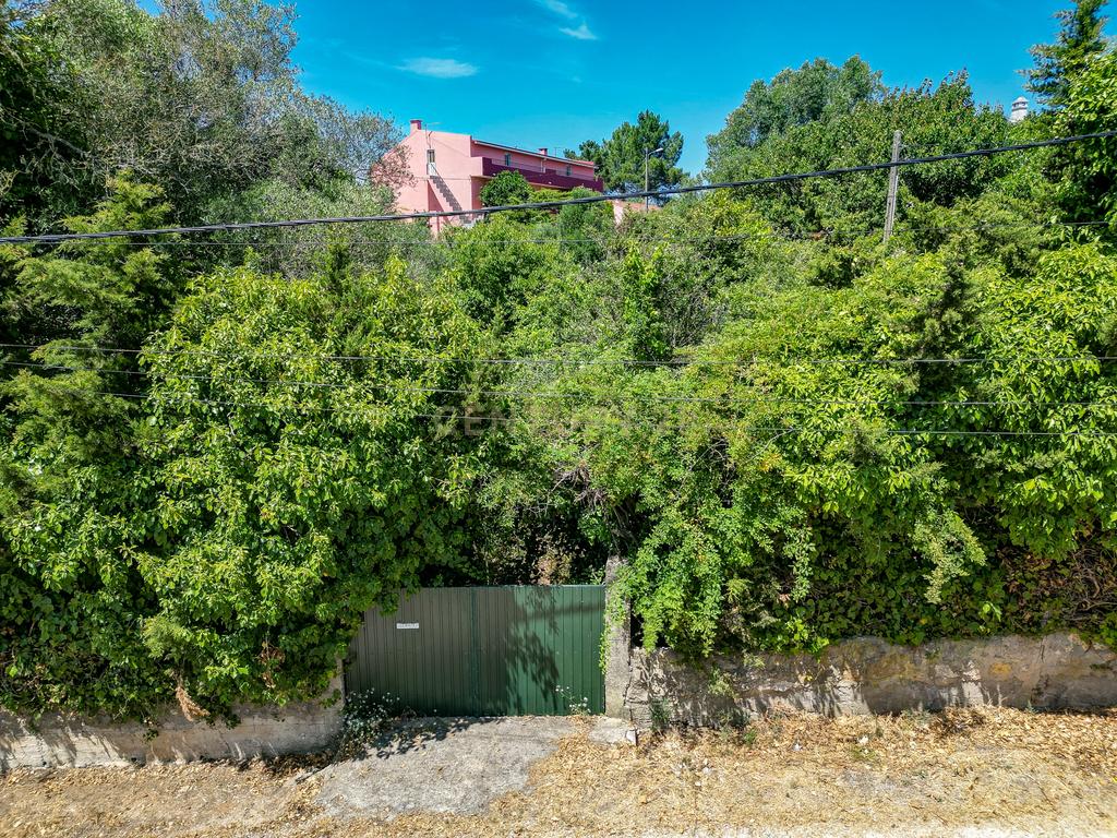 Terreno à Venda em Vale de Almornos – 1.000 m² de Natureza, Potencial e Tranquilidade! - Image 24
