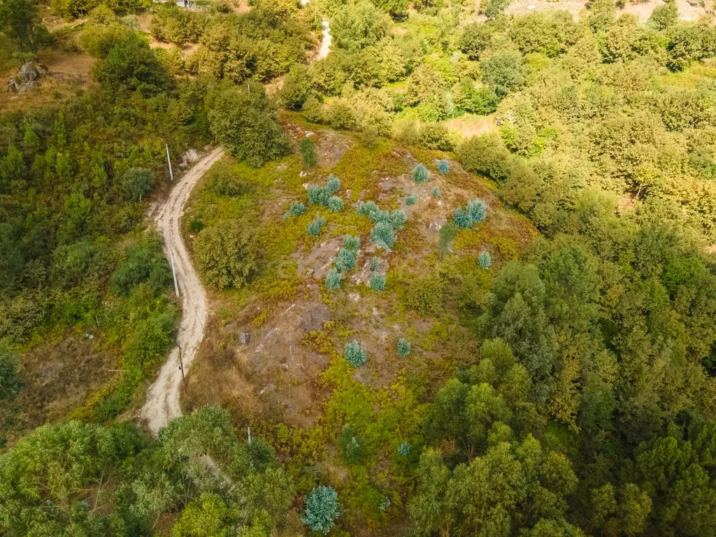 Terreno com vista Rio em Paços de Gaiolo, Marco de Canaveses - Image 3