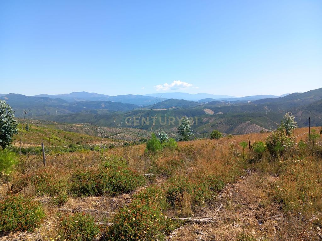 Terreno na Localidade do Roqueiro(Estreito) - Image 2