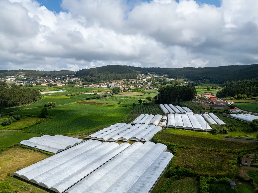 Terreno Panorâmico em Vila Cova - Barcelos com vista desafogada - 69.000€ - Image 7