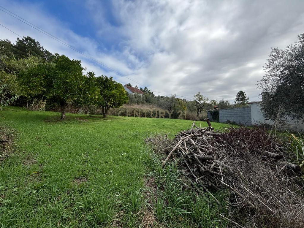 Moradia em ruína para recuperação em Pombal, Leiria - Image 25