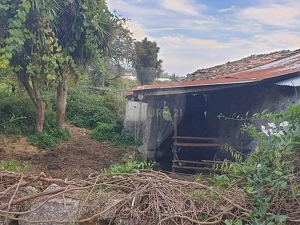 Quintinha Única com 6000m² de Terreno Construtivo – Serzedelo, Póvoa de Lanhoso - Image 11