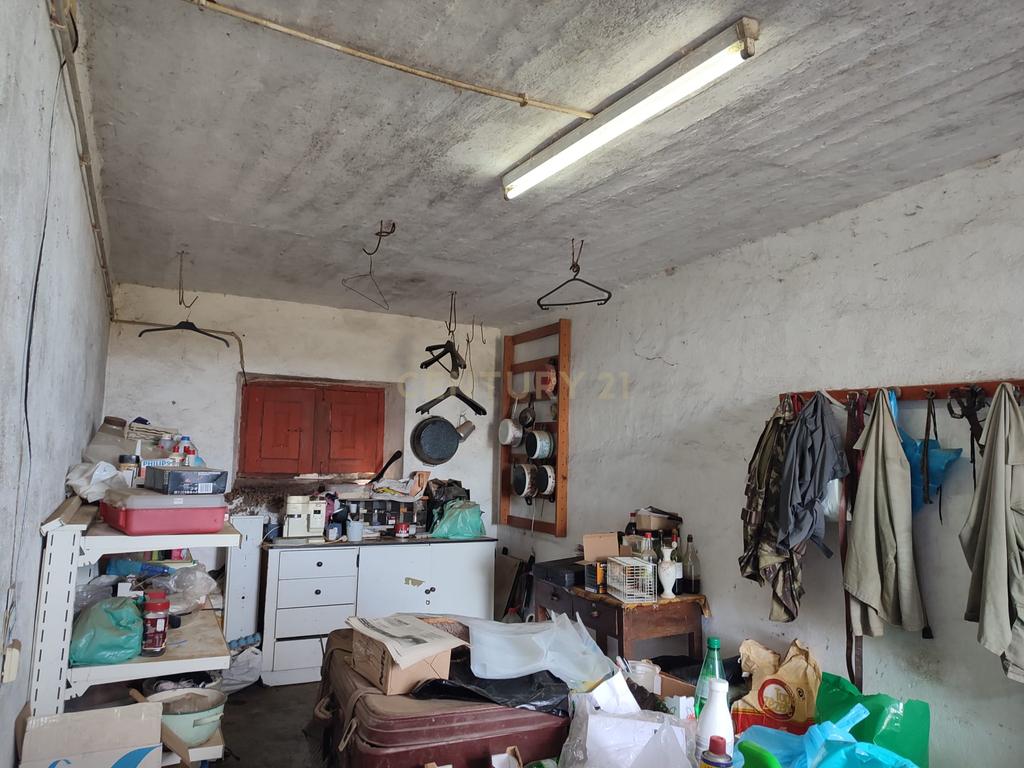 Quinta 54ha, Escalos de Baixo, Castelo Branco - Image 18