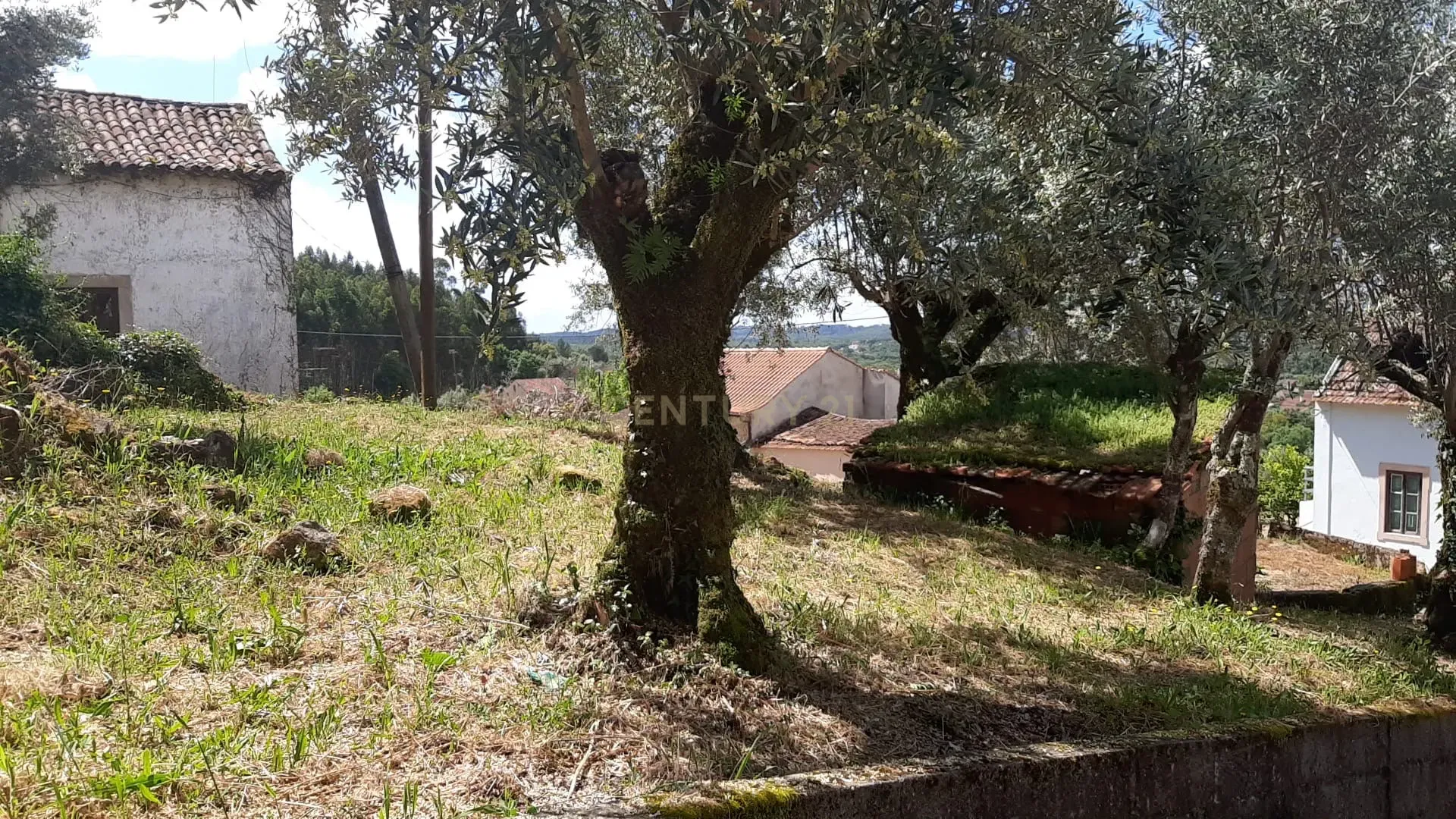 Fotografia 8 de Propriedade para Recuperação em Areias, Ferreira do Zêzere